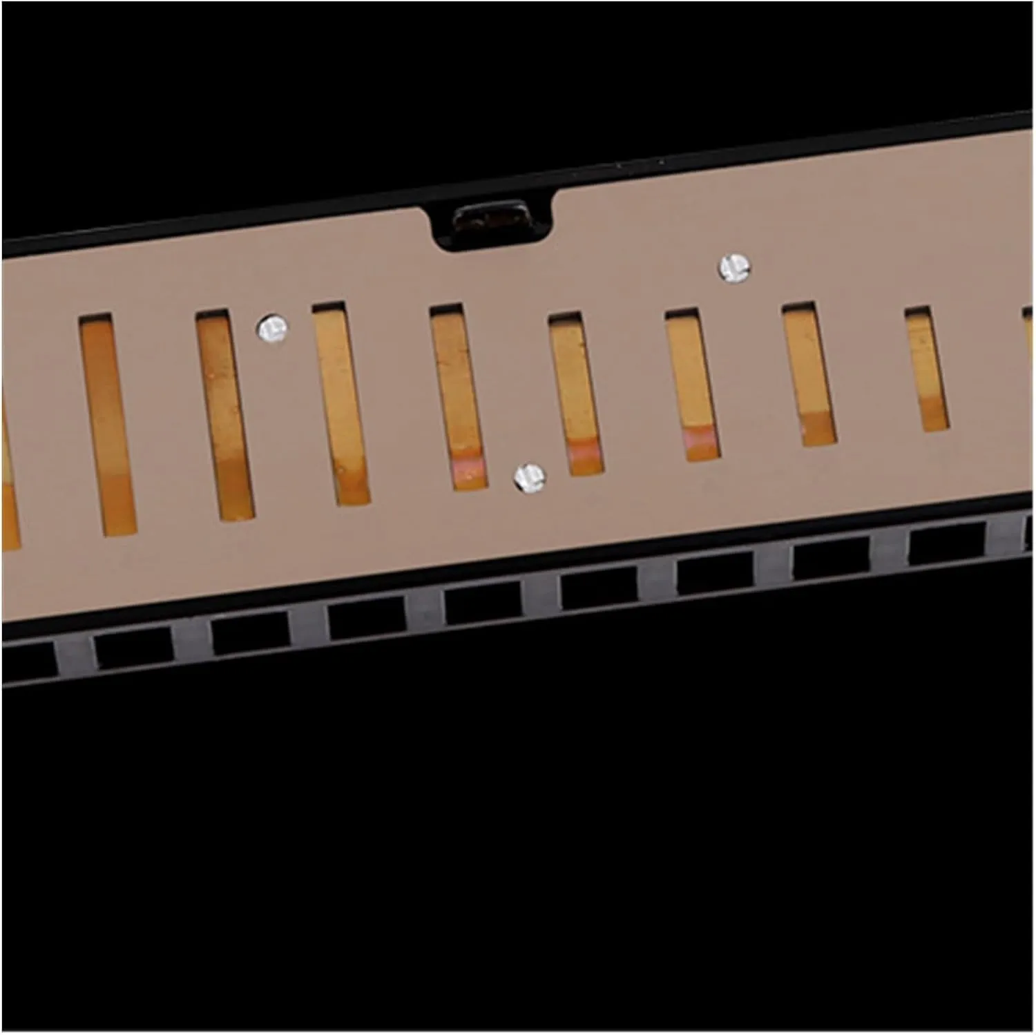 10-hole C blues harmonica for beginners to practice blues harmonica(Gold)