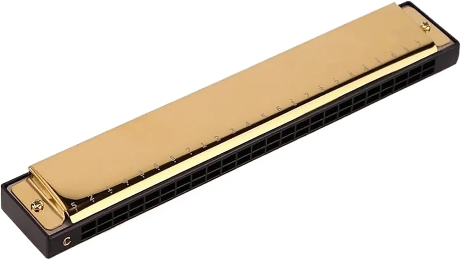 24 Hole Polyphonic C Harmonica Adult Portable With Deep Vibrato Effect(Gold)