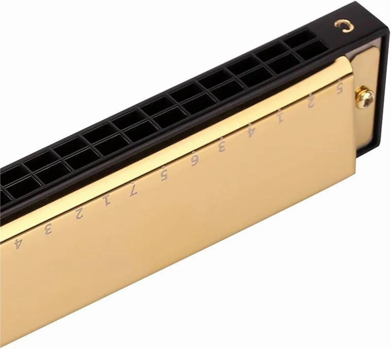 24 Hole Portable Polyphonic C Harmonica Musical Instrument(Gold)