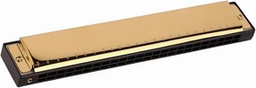 24 Hole Portable Polyphonic C Harmonica Musical Instrument(Gold)