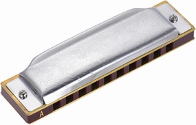 7 Keys Standard 10-Hole Diatonic Harmonica Beginner Blues Key of A B C E F Woodwind Musical Instrument(F)