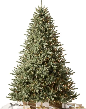Balsam Hill 6ft Pre-Lit Classic Blue Spruce Artificial Christmas Tree with LED Clear Lights