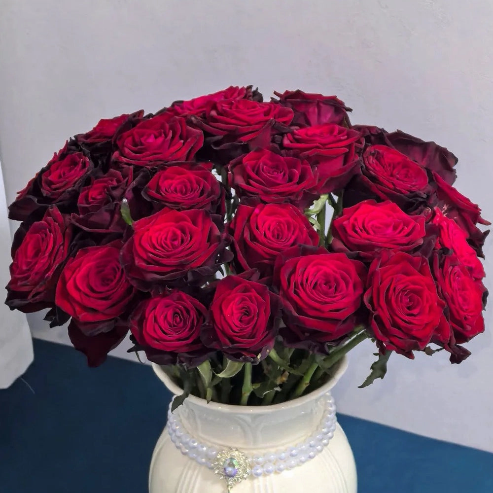 Black Gold French Florist Hybrid Tea Rose