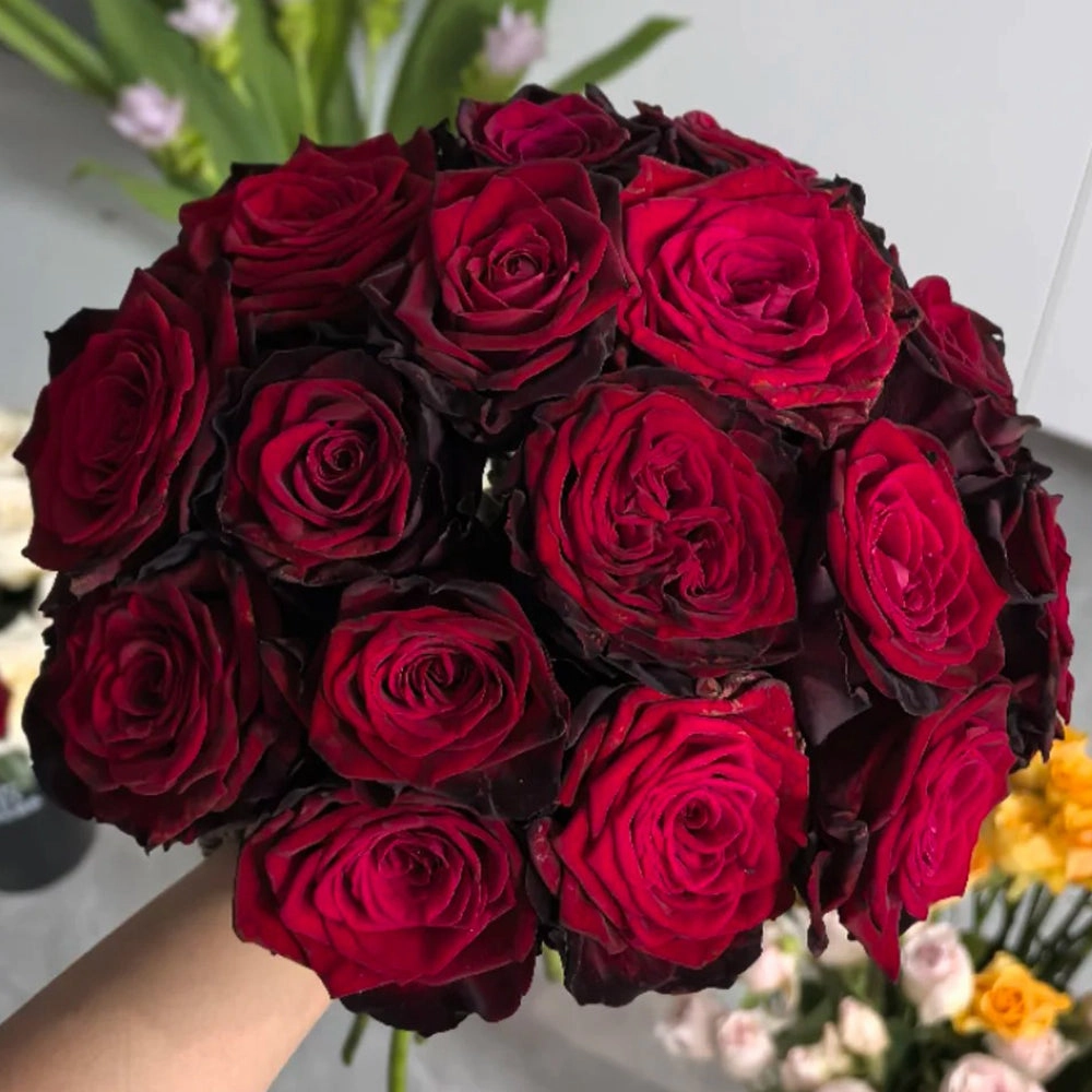 Black Gold French Florist Hybrid Tea Rose