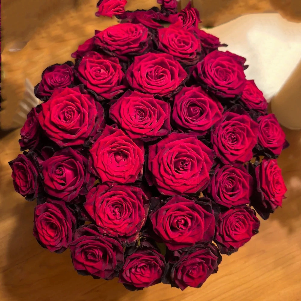 Black Gold French Florist Hybrid Tea Rose