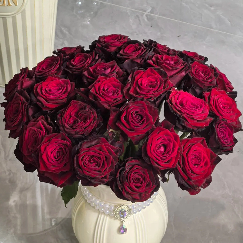 Black Gold French Florist Hybrid Tea Rose