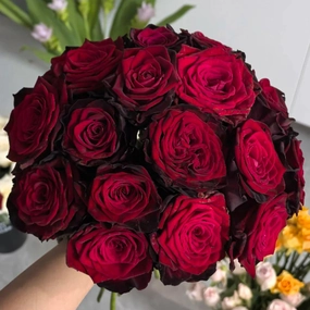 Black Gold French Florist Hybrid Tea Rose