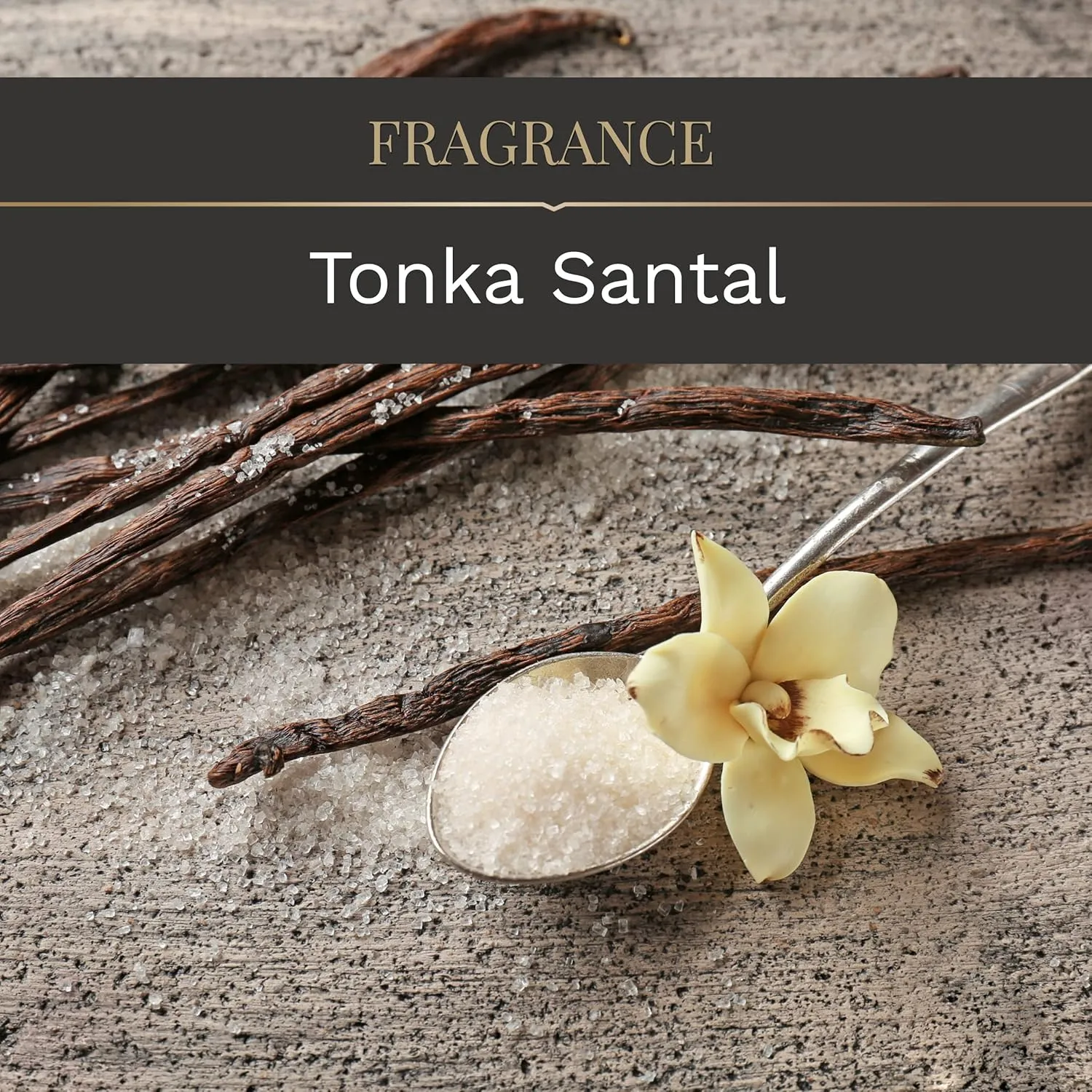 CLCo. by Candle-Lite Company Scented Candles, Tonka Santal Fragrance, One 14 oz. Single Wooden Wick Aromatherapy Candle with 90 Hours of Burn Time, White Color