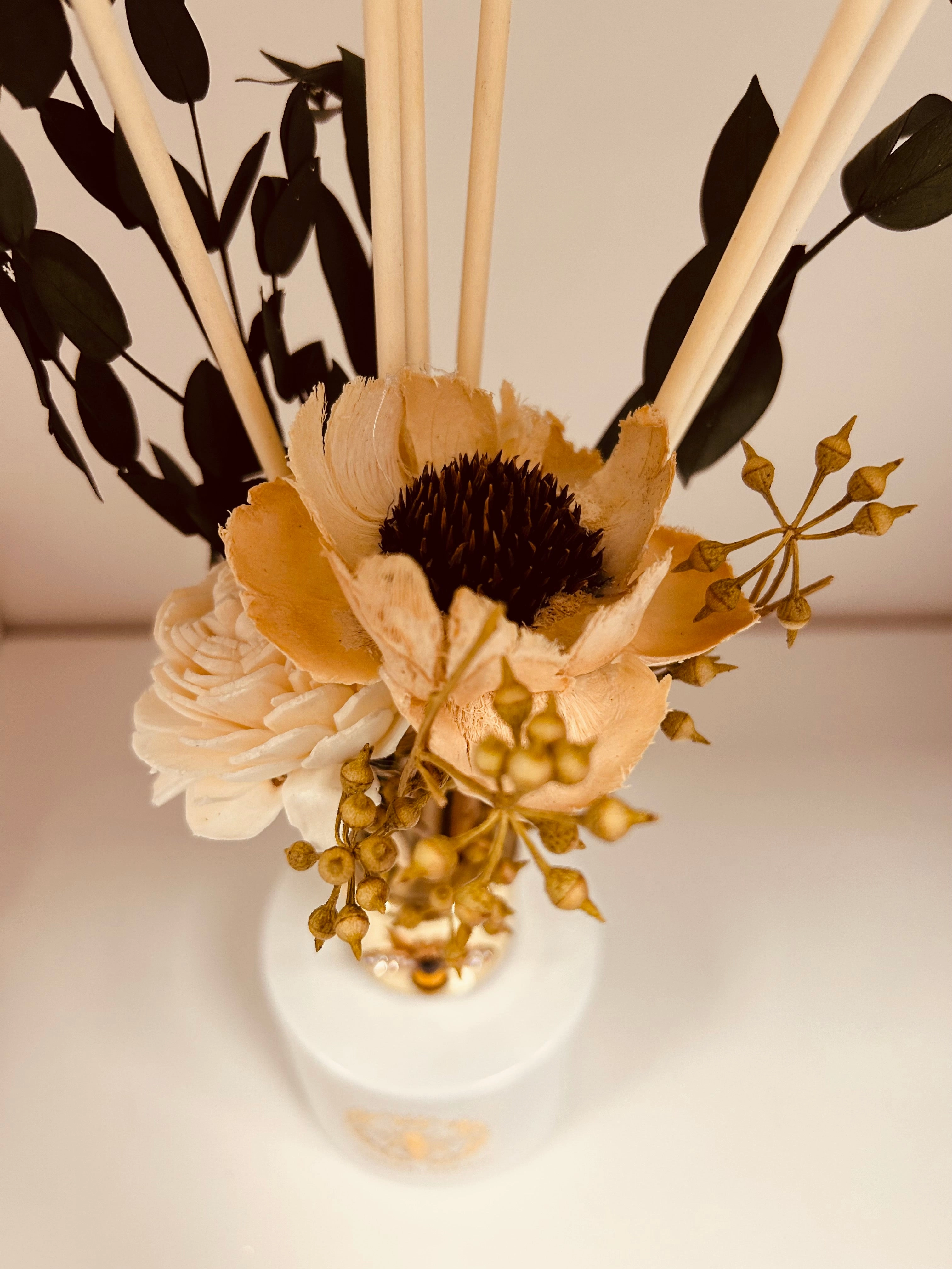 Diffuser - coconut island- flowers not included