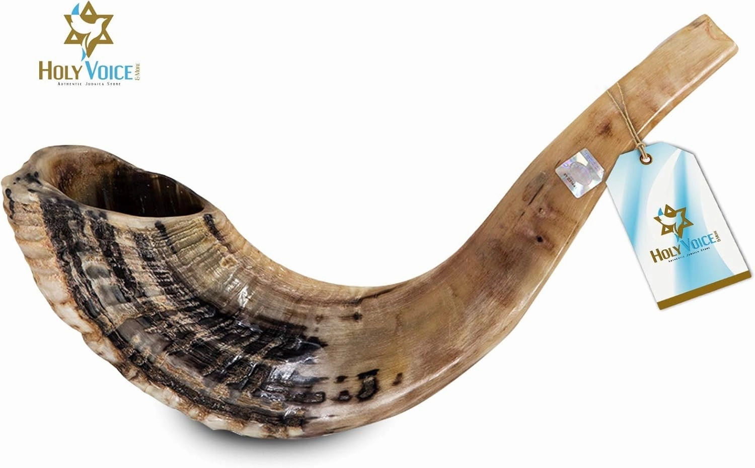 Holy Voice Kosher Ram Shofar Horn from Israel Traditional Half Polished, Holy Land Ancient Jewish Musical Instrument, Smooth Mouthpiece for Easy Blowing, Clear Sound Shofar (14"-16")