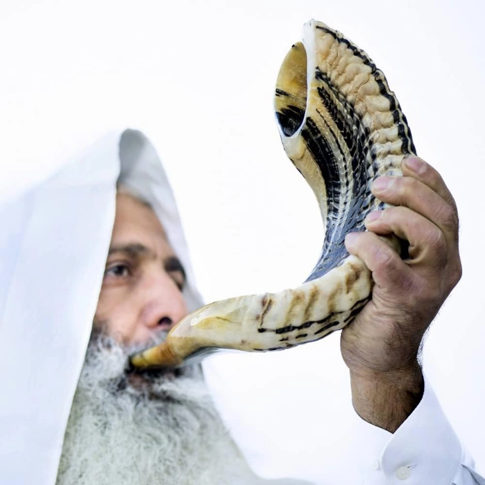 Holy Voice Kosher Ram Shofar Horn from Israel Traditional Half Polished, Holy Land Ancient Jewish Musical Instrument, Smooth Mouthpiece for Easy Blowing, Clear Sound Shofar (14"-16")