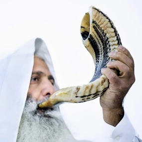 Holy Voice Kosher Ram Shofar Horn from Israel Traditional Half Polished, Holy Land Ancient Jewish Musical Instrument, Smooth Mouthpiece for Easy Blowing, Clear Sound Shofar (14"-16")