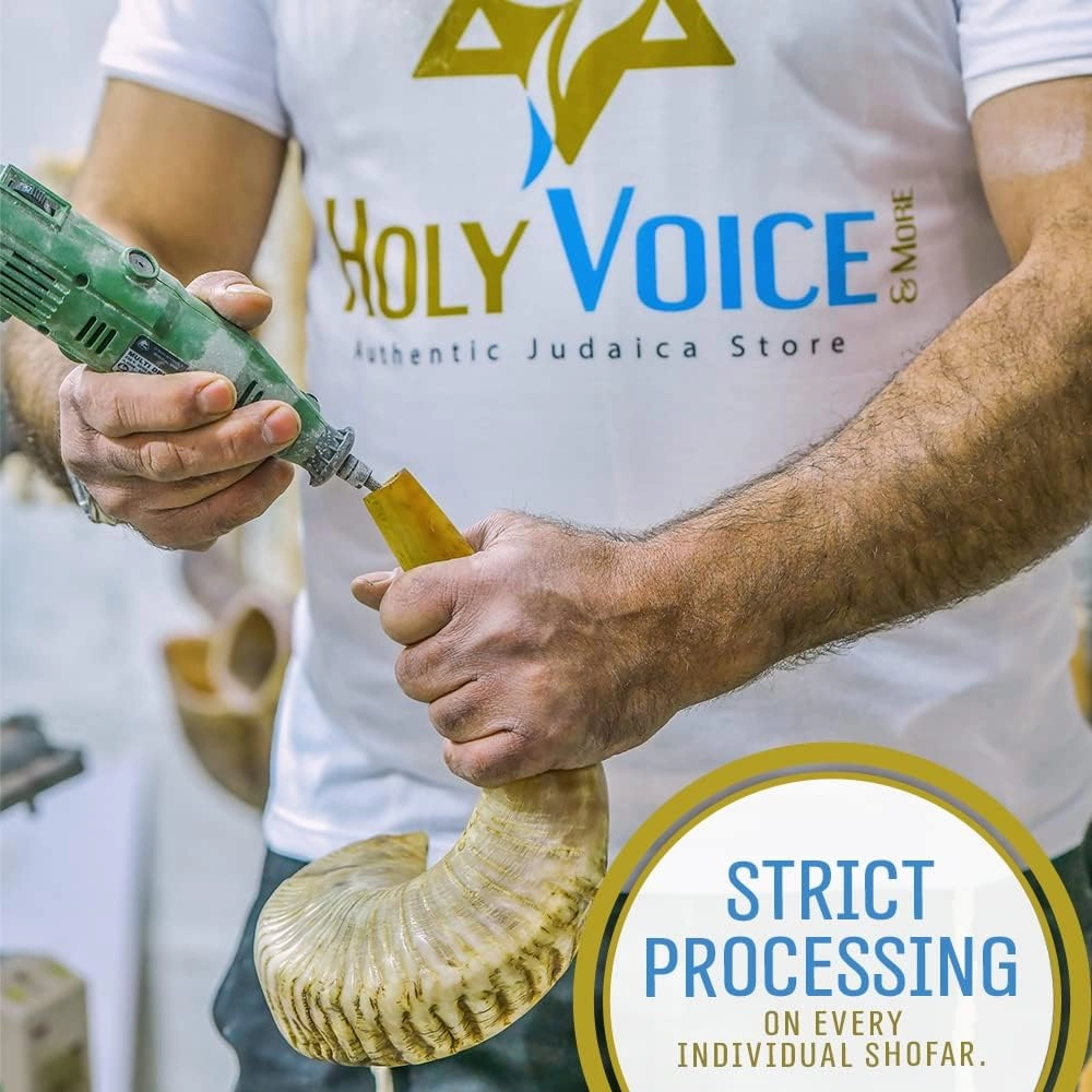 Holy Voice Kosher Ram Shofar Horn from Israel Traditional Half Polished, Holy Land Ancient Jewish Musical Instrument, Smooth Mouthpiece for Easy Blowing, Clear Sound Shofar (14"-16")