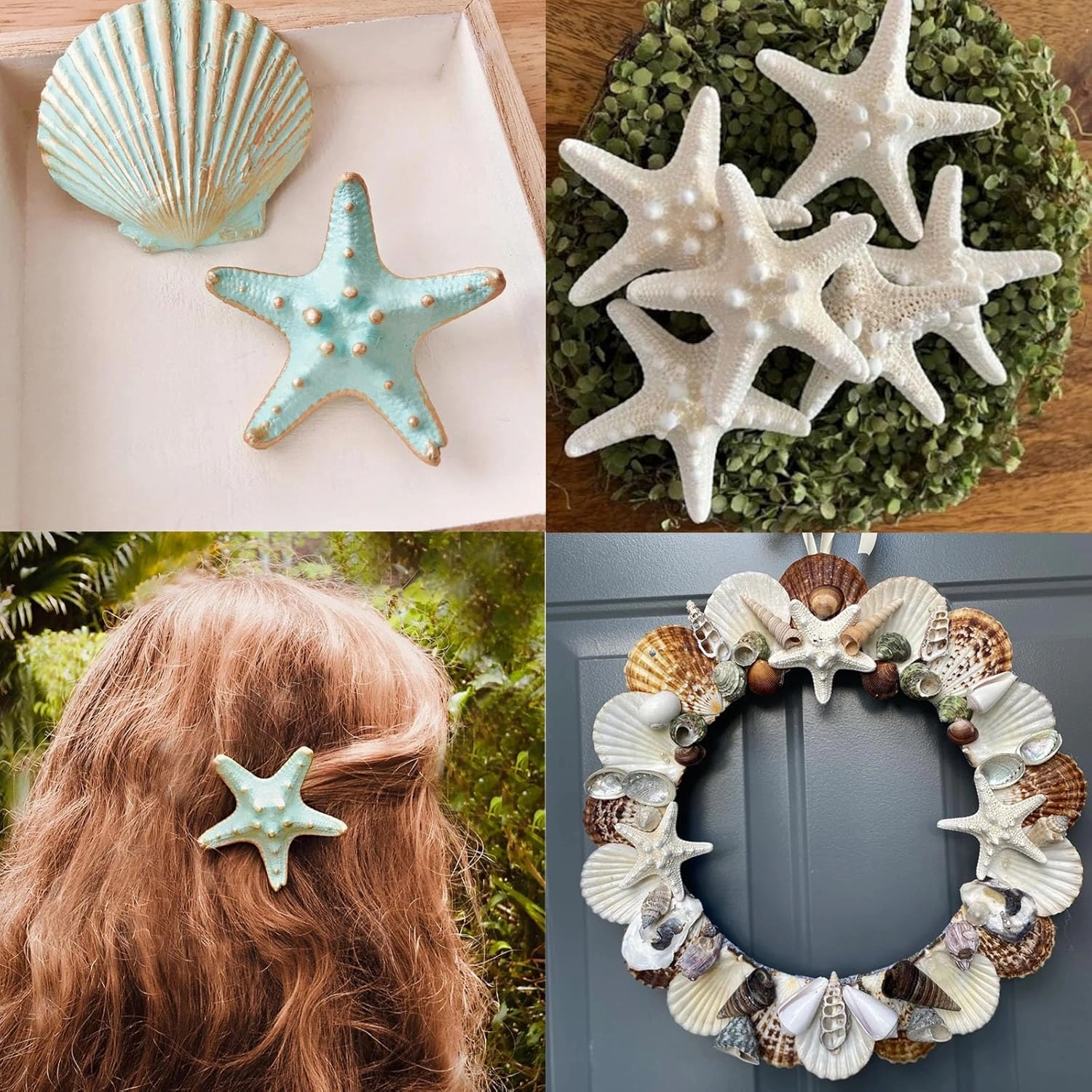 JQAQJU Starfish and Scallop Shells for Crafts 26PCS, Natural Large Beach Sea Shells for Crafts, Small Shells and Pearls Mixed, Baking Shells Perfect for Beach Party Christmas Decor Fishtank DIY