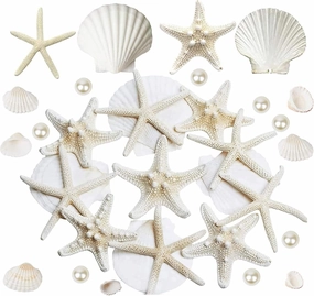 JQAQJU Starfish and Scallop Shells for Crafts 26PCS, Natural Large Beach Sea Shells for Crafts, Small Shells and Pearls Mixed, Baking Shells Perfect for Beach Party Christmas Decor Fishtank DIY