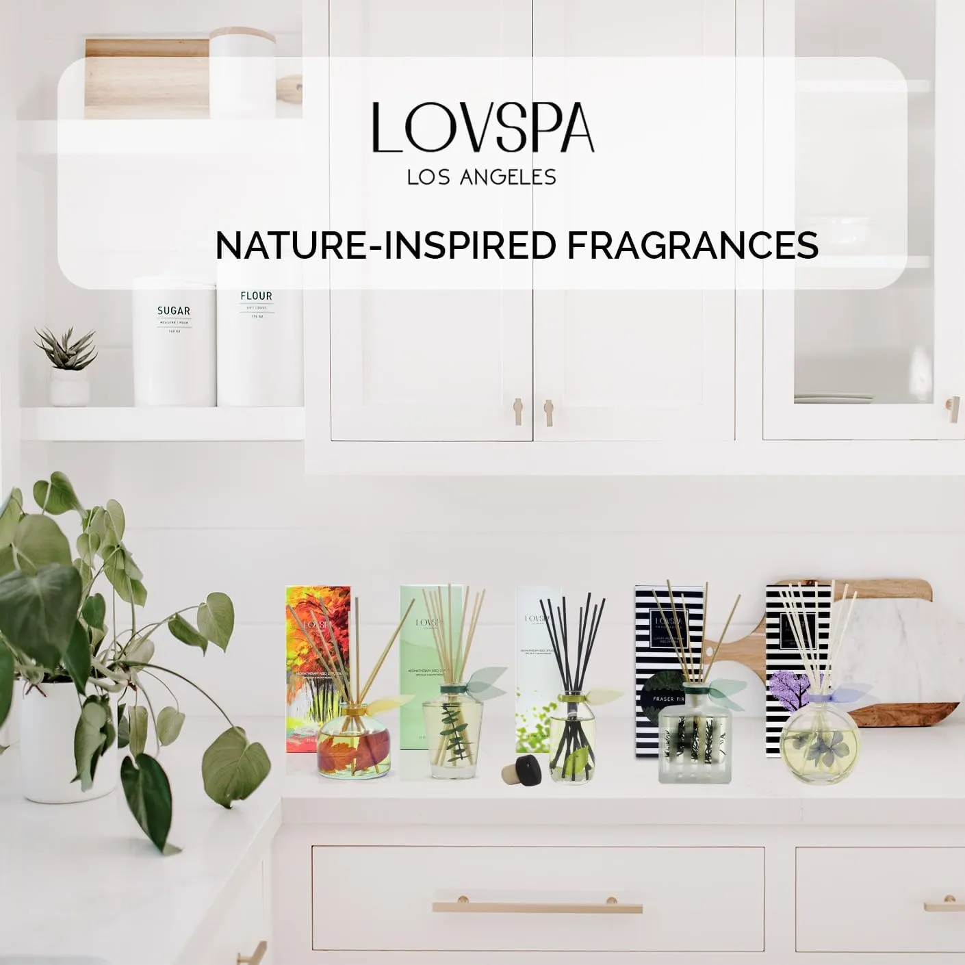 LOVSPA Jasmine Vanilla Reed Diffuser Set - Scent Diffuser for Home with Long Lasting Fragrance - Non-Toxic Oil Reed Diffuser - Made in The USA