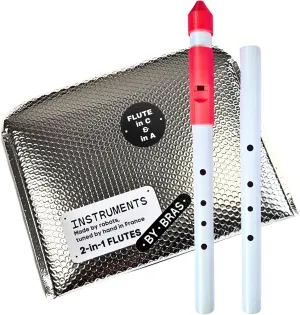 Native American Flute by Instruments by Bras with Interchangeable Mouthpiece and Two Bodies in C and A for All Skill Levels, Flute Instrument Handcrafted in France