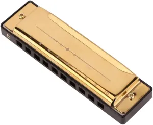 Professional 10 Hole Metal Harmonica Suitable For Adult Beginners Music Instrument(Gold)