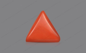 Red Coral - 4.57 Carats
