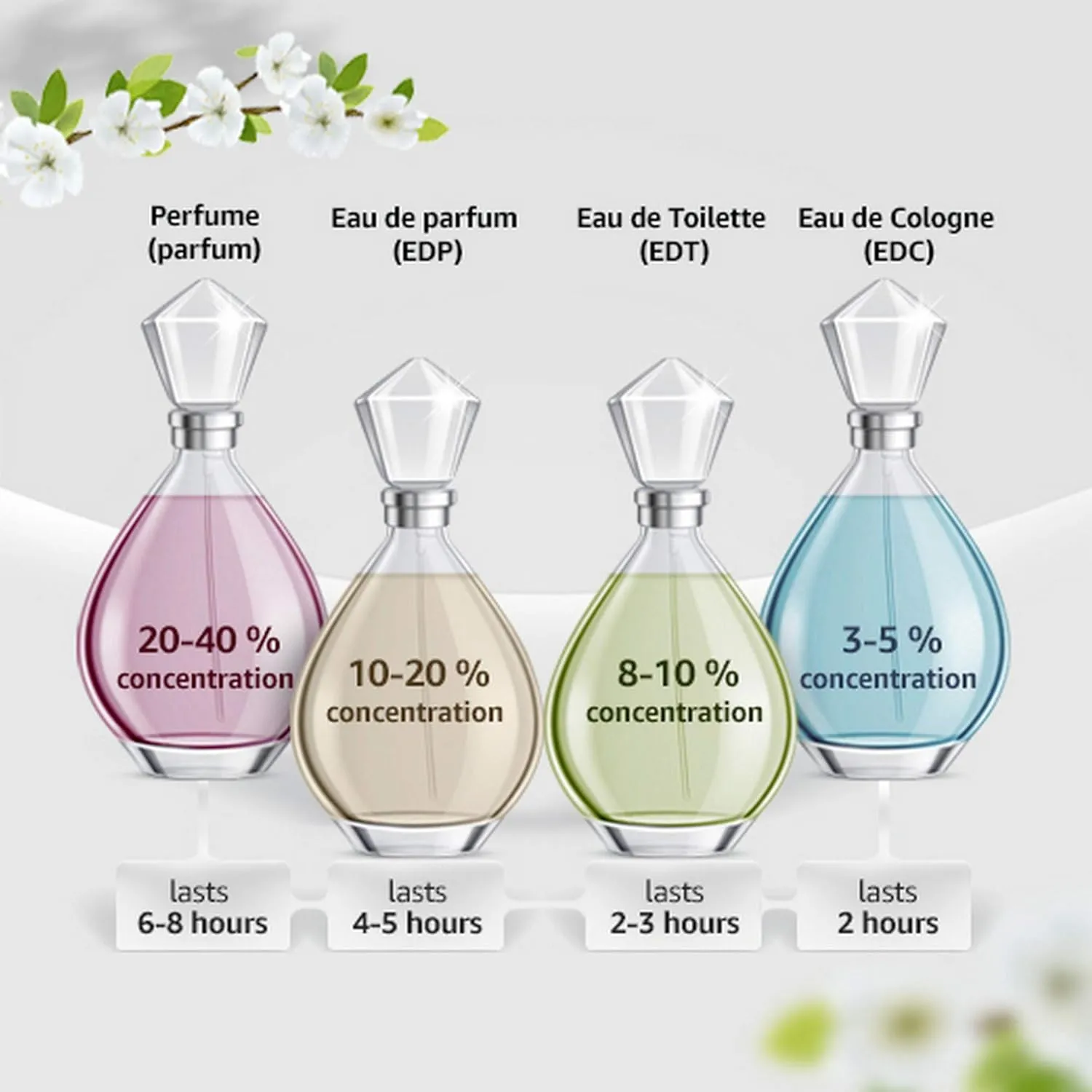 Salvatore Ferragamo Eau de Toilette Spray for Women, 3.4 Ounce