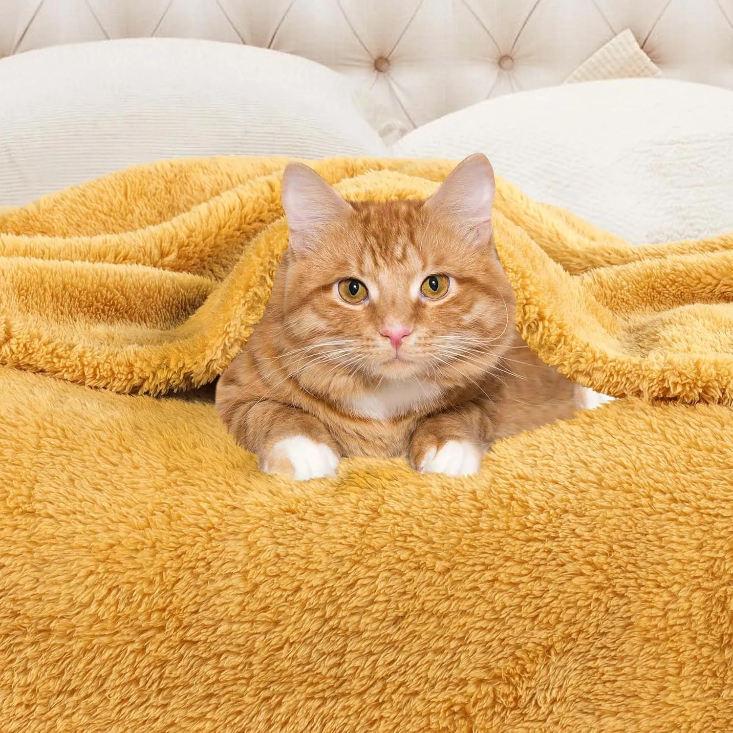 Superior Classic Solid Fleece Blanket, Thick, Cozy, Warm Blankets, Velvety Soft Plush Bedding and Sofa Throw, Cute Bedroom Decor, Fuzzy Cover, Medium Weight Comfort Essentials, Twin, Gold