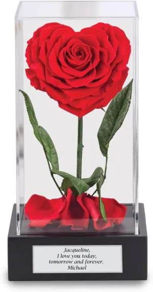 The Danbury Mint Forever Yours Miracle Rose #11788-0013