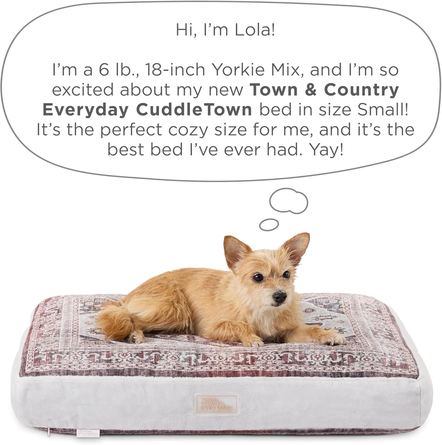 TOWN & COUNTRY EVERYDAY CuddleTown Medallion Everwash® Pillow Pet Bed, Water Repellent Floor Pillow, Machine Washable Cover, Soft & Calming, Red/Greige, Small 28"x22"x4"