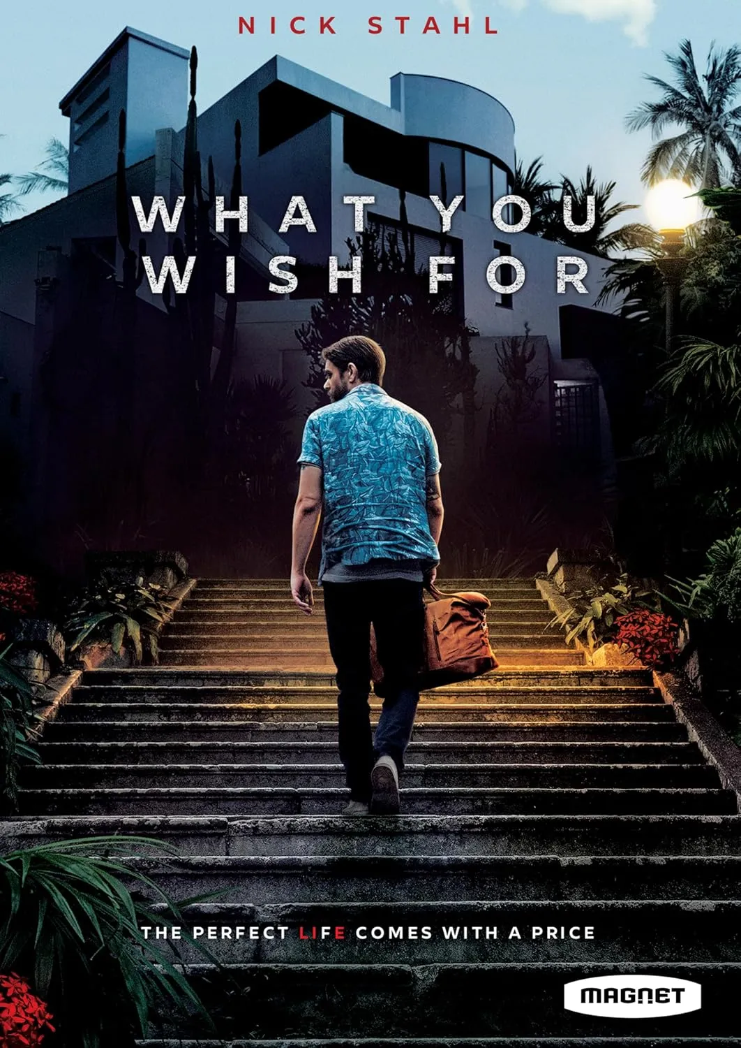 WHAT YOU WISH FOR DVD